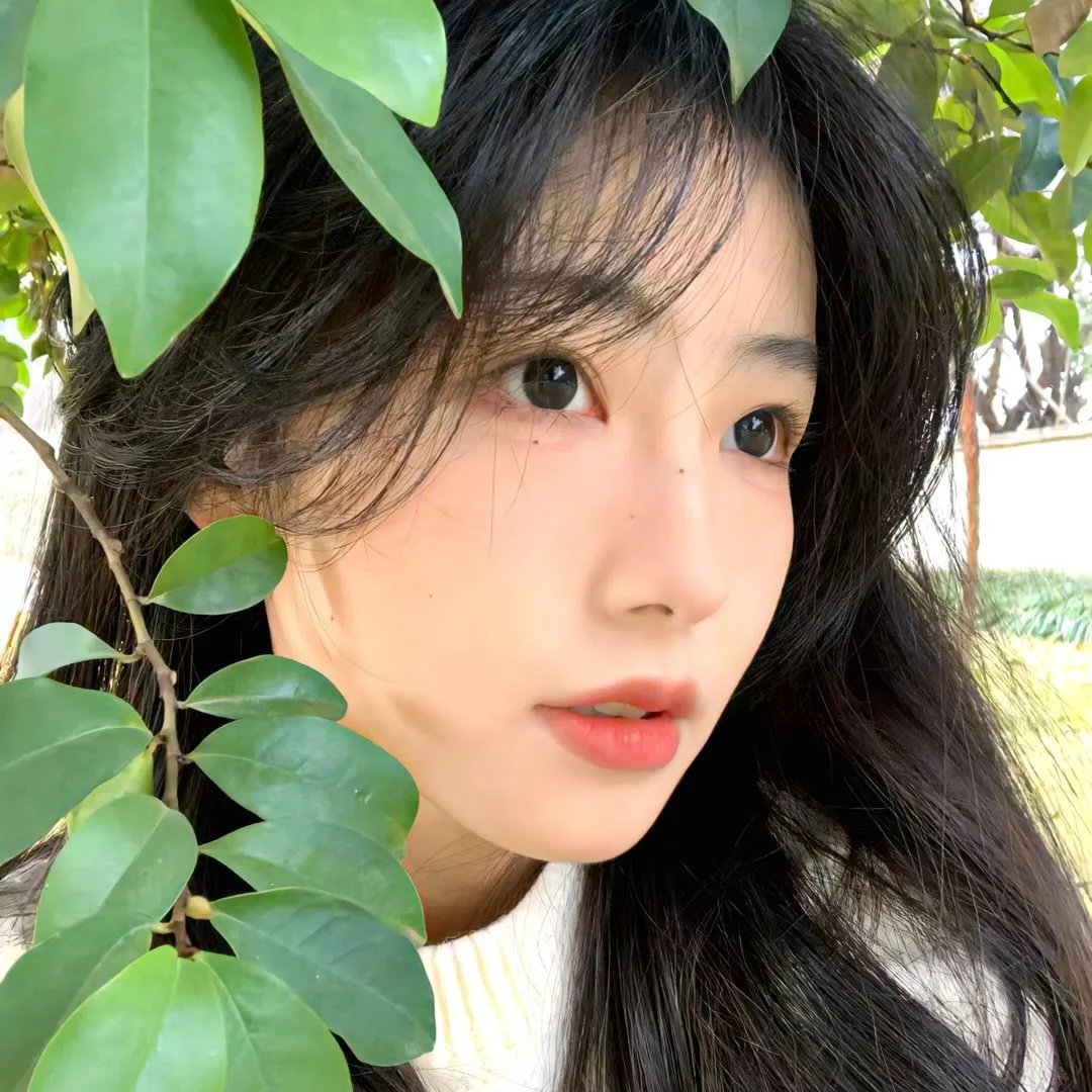 少女们的指南针