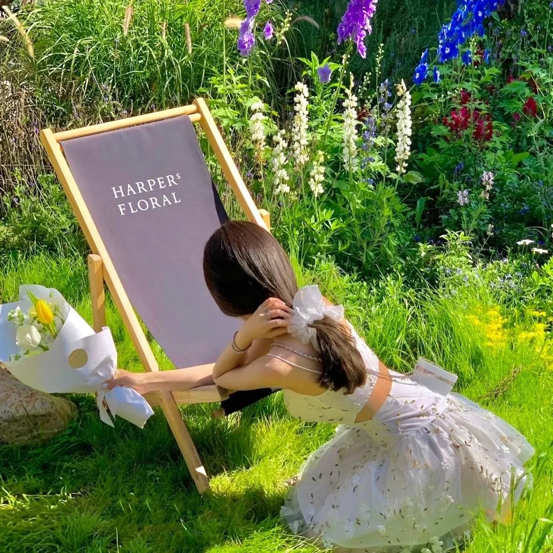 梅森探案集第一季